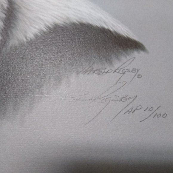 Panda II AP 10/100 by Harold Rigsby Signed - Picture 8 of 9